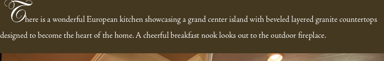 There is a wonderful European kitchen showcasing a grand center