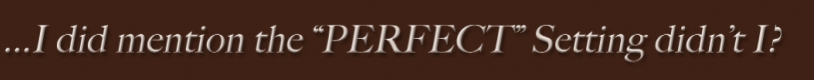 perfectsetting.jpg