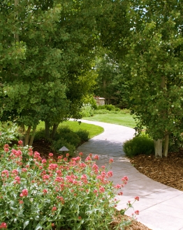 Exterior-65.jpg