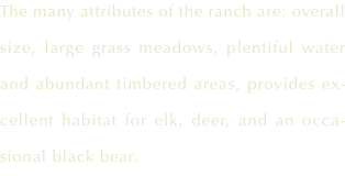 The many attributes of the ranch are: overall size, large grass